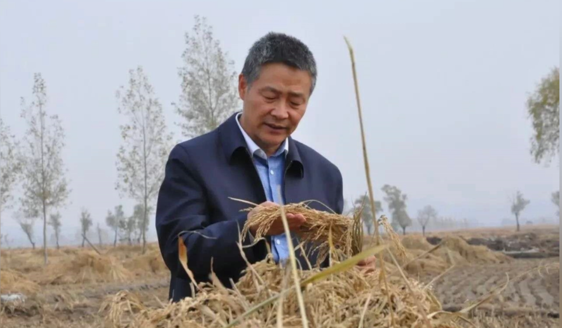 哈电集团党委书记、董事长斯泽夫视察五常水稻种植基地(图1)